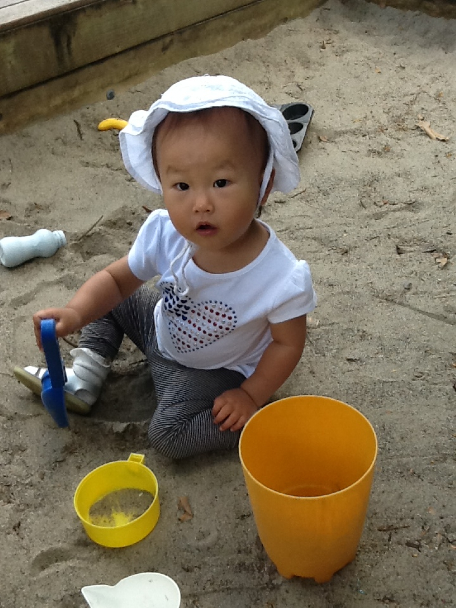Photo 7 01 15 9 38 56 am